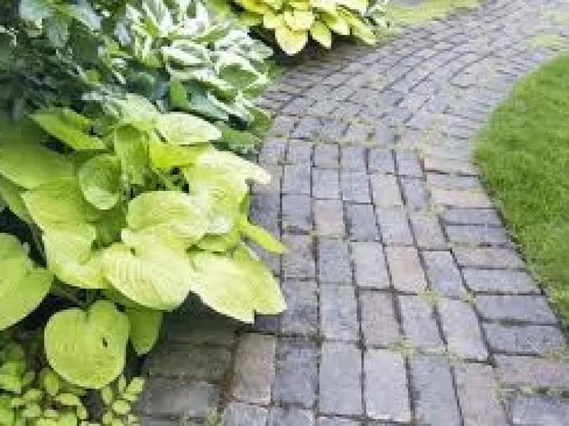 Paving Blok download (1)